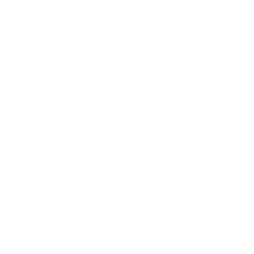 presentazioni e report